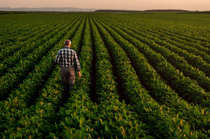 Living Organic Fertilizer