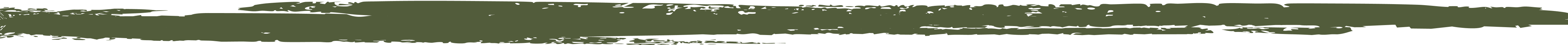 Section Separator